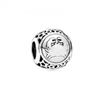 Constellation Sterling Silver Charms DOCY9919